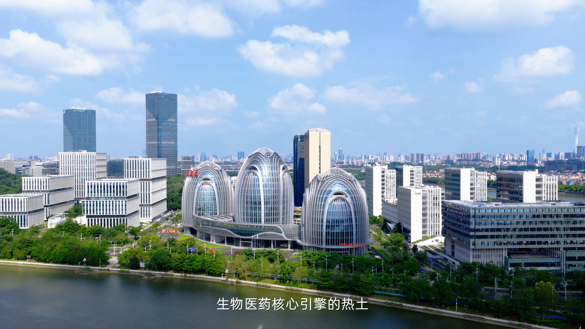 实力